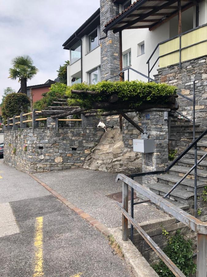 شقة Casa Amira - Locarno Brione sopra Minusio المظهر الخارجي الصورة